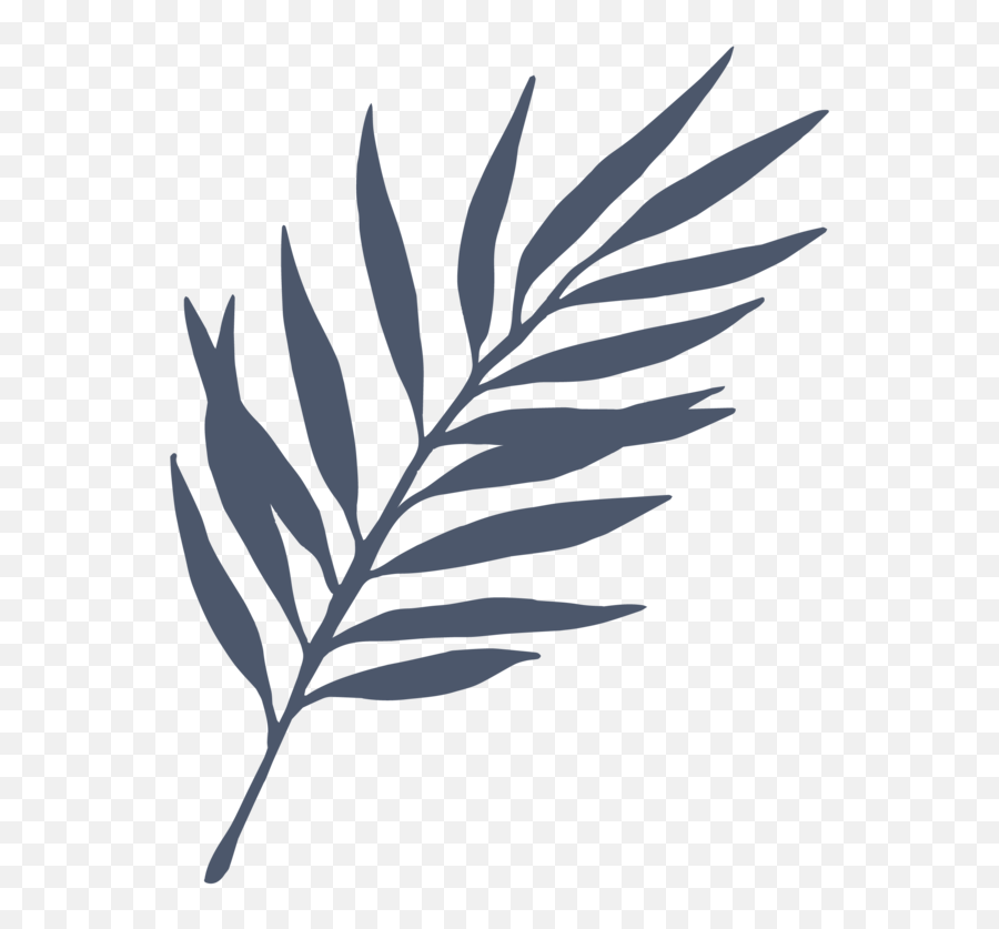 Men U2014 Shop Treehouse Daydreams Png Fern Icon