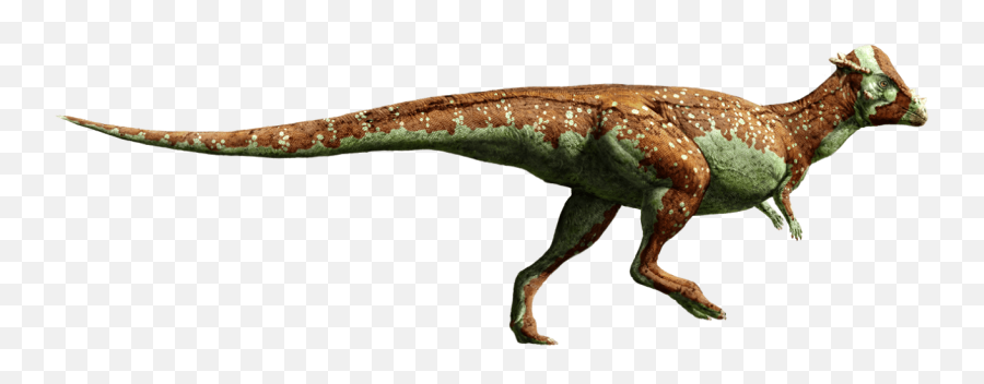 Pachycephalosaurus - Fallen Kingdom Stegosaurus Jurassic Png,Stegosaurus Icon