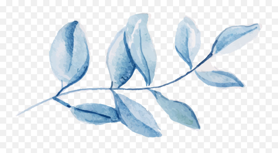 Free Png Watercolor Leaves - Konfest,Leaf Png