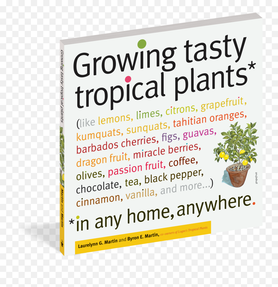 Tropical Plants Png - Growing Tasty Tropical Plants In Any Poster,Tropical Plants Png