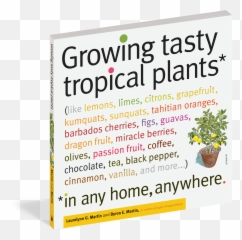 Tropical Plants Png - Growing Tasty Tropical Plants In Any Poster