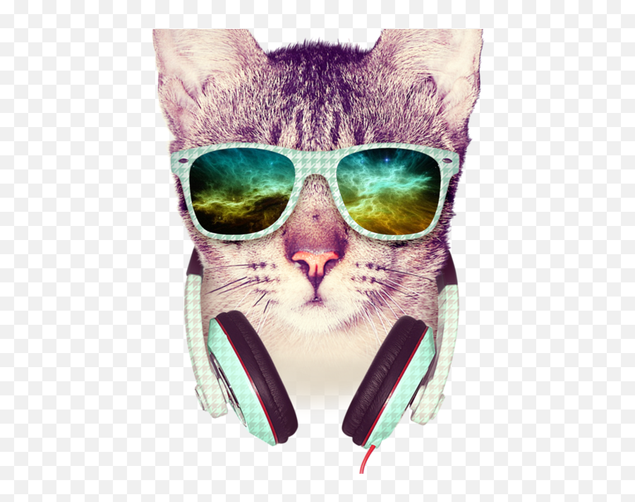 Download Sticker Hipster Decal Others Free Photo Png Clipart - Hipster Cat Png,Hipster Glasses Png