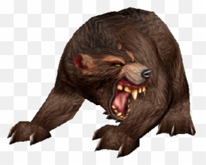 Bear Wowwiki Fandom - World Of Warcraft Bear Png,Grizzly Bear Png