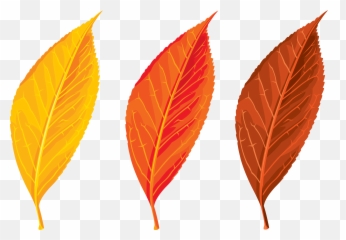 Transparent Seasons U0026 Png Clipart Free Download - Autumn Leaf Clipart Png,Leaves Clipart Png
