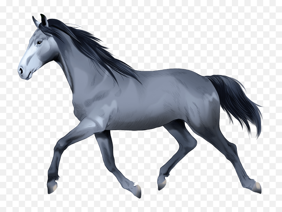 Holsteiner Horse Clipart Free Download Transparent Png - Stallion,Horse Transparent Png