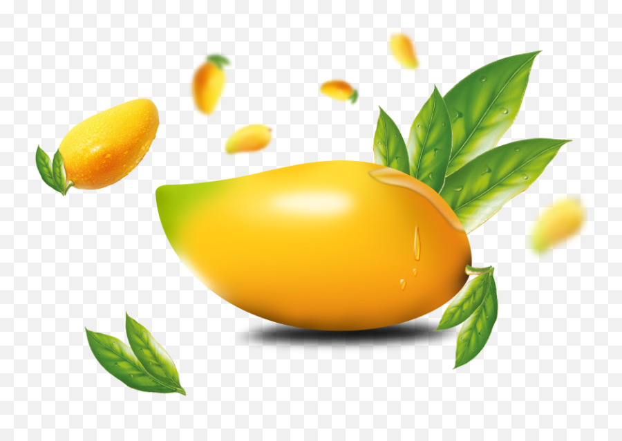 Mango Images Clip Art Pictures - Mango Png Transparent Rtopr Cream Price In India,Mango Png