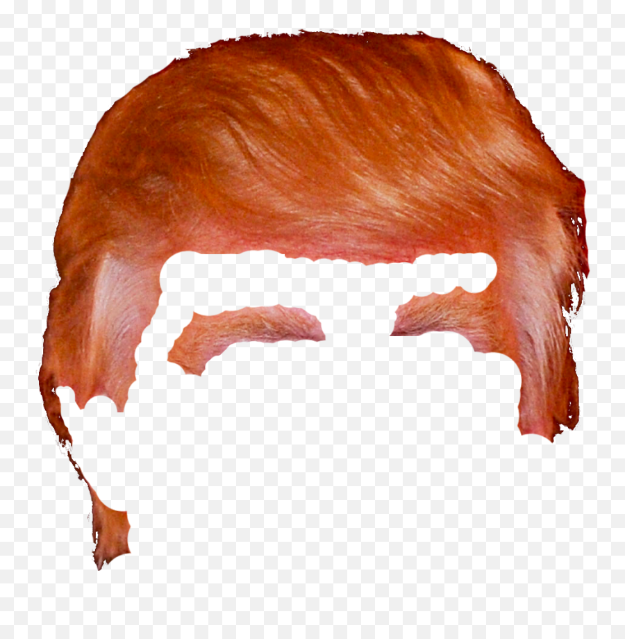 Donald Trump Hair Png U2013 Ryan And Debi U0026 Toren - Donald Trump Hair Png Transparent,Trump Png
