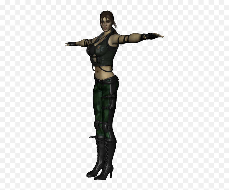 Download Hd Mortal Kombat Health Bar Png Transparent - Woman Warrior,Health Bar Png