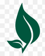 Download Anuja Ayurveda Dhule Leaf Logo - Clipart Png