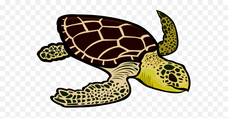 Clip Art - Clip Art Sea Turtle Png,Turtle Clipart Png