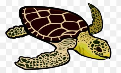 Clip Art - Clip Art Sea Turtle Png,Turtle Clipart Png