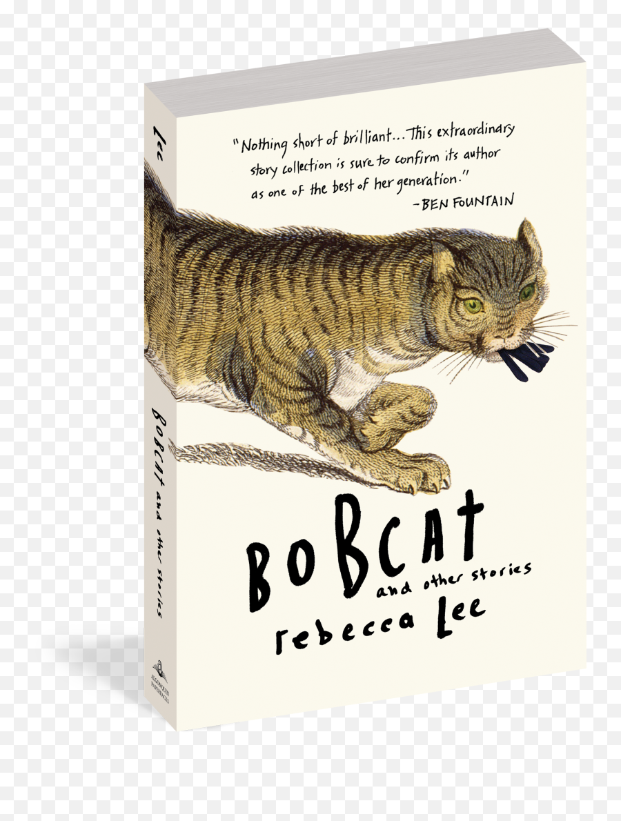 Bobcat And Other Stories - Rebecca Lee Author Png,Bobcat Png