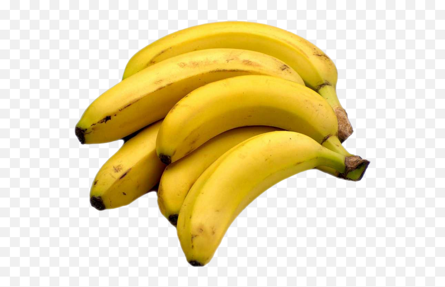 Download Hd Large Bunch Of Bananas Transparent Png Image - Color Are Bananas,Bananas Png