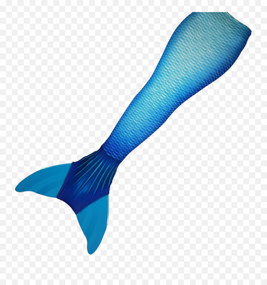 Mermaid Tail Png Background - Fin,Mermaid Tail Transparent