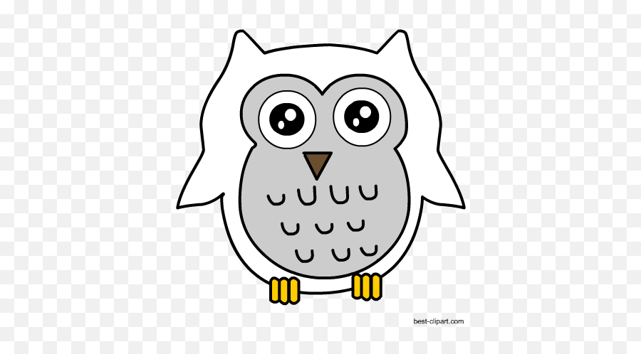 Download Hd Free Snowy Owl Clipart - Dot Png,Ovo Owl Png