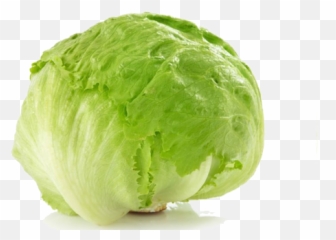 Lettuce Png - Lettuce Plant Png Iceberg 1204339