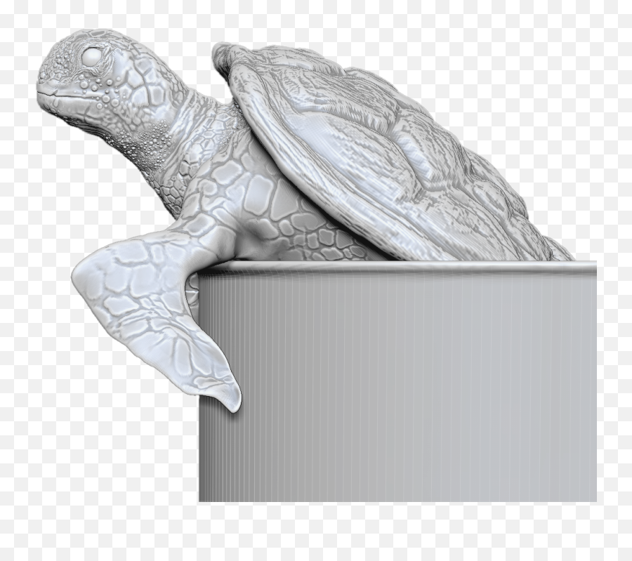 Zbrush Nayeemhassan - Turtle Shell Alpha Zbrush Png,Zbrush Logo Png