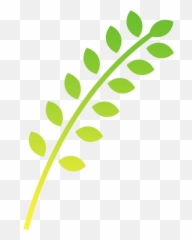 The Harvest Advantage Foodworks - Fern png