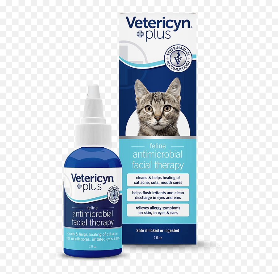 Feline Antimicrobial Facial Therapy - Cat Png,Lol Cat/dog Icon
