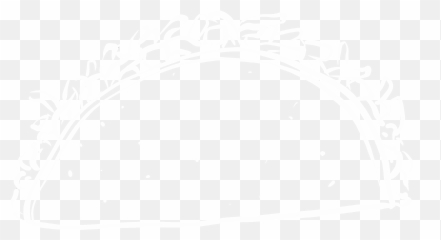 About Belle Bodas Events - Dish png