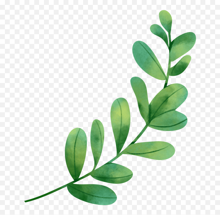 Watercolor Leaf Object - Shawol Png,Watercolor Greenery Png