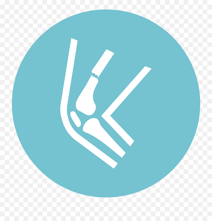 Danish Knee Arthroplasty Register - Language Png,Icon Dkr