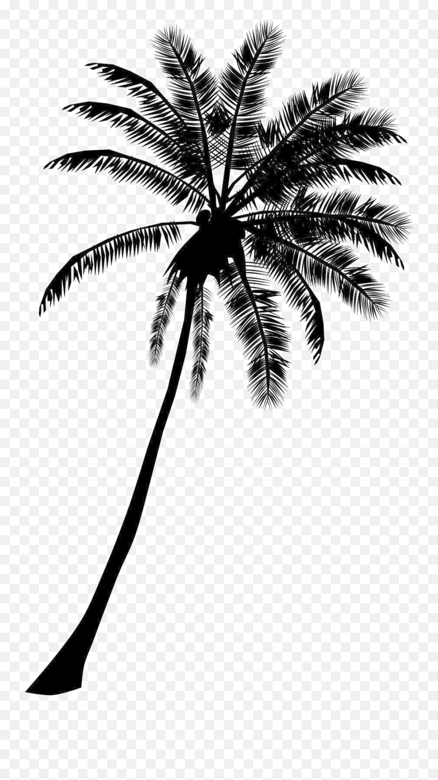 Beach Coconut Tree Png Transparent Images All - Coconut Tree Silhouette Png,Palm Tree Clipart Transparent Background