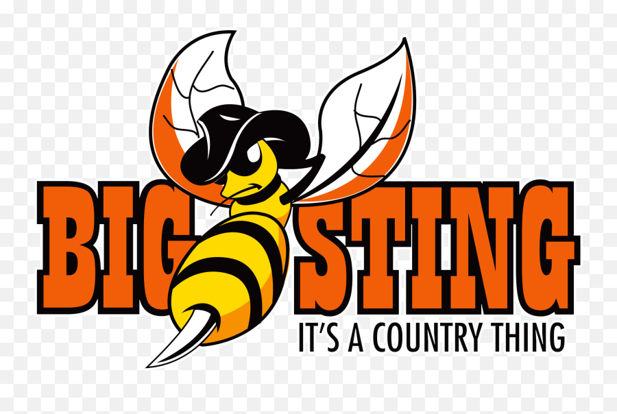 The Big Sting Country Music Festival Prescott Arizona - Language Png,The Icon Sting