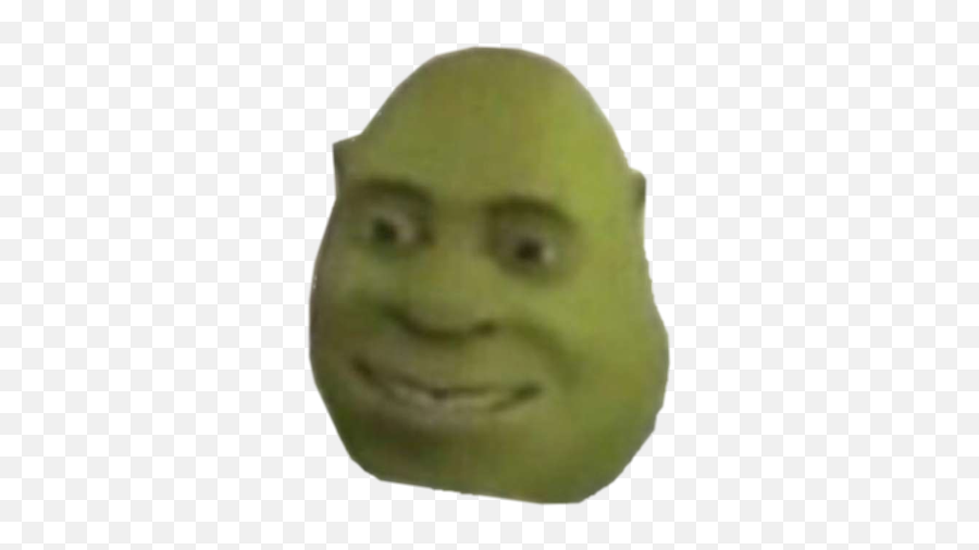 Download Report Abuse - You Ever Just Meme Png Image With No You Ever Just Die,Shrek Face Png
