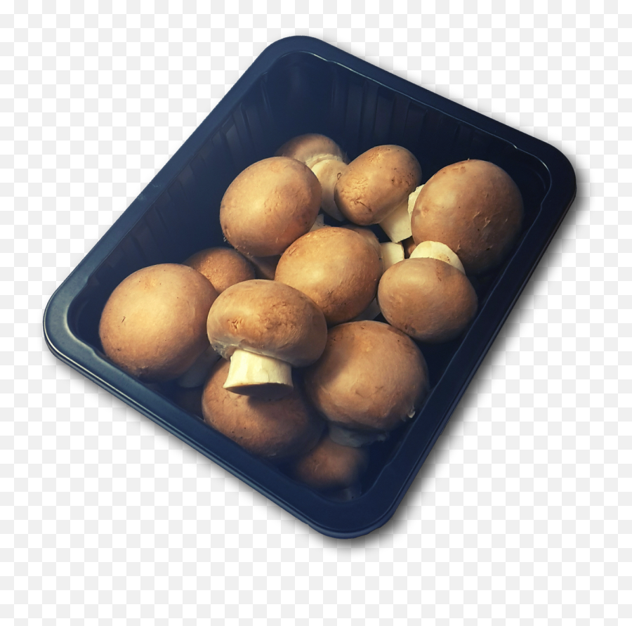 Mushrooms Png - Mushrooms Brown Food Png Image Shiitake,Mushrooms Png