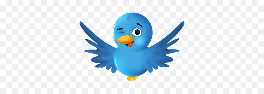 Social Network Sn Bird - Twitter Bird In Png,Twitter Bird Transparent