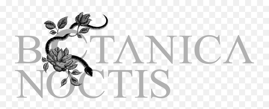 About Botanica Noctis - Zeta Tau Alpha Png,Noctis Png