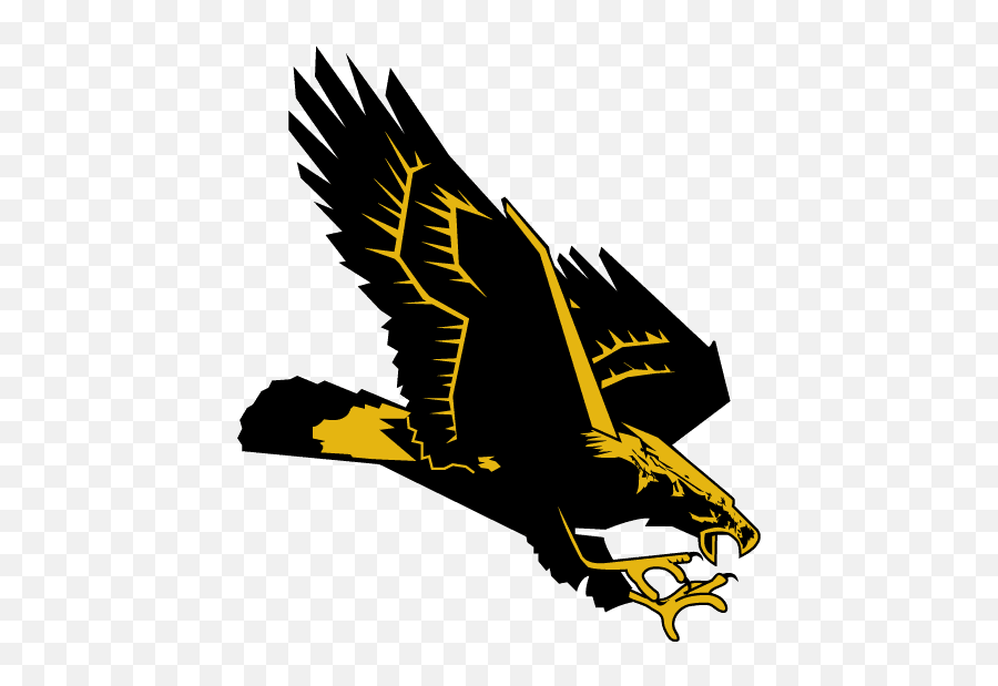 Southern Miss Golden Eagles Secondary - South Pike Eagles Png,Eagle Logos Images