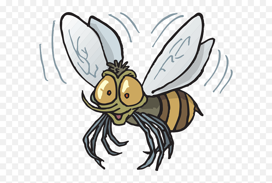 Bee Flying Insect Buzzing Fly Transparent Png Images U2013 Free - Flying Fly Clipart,Fly Transparent