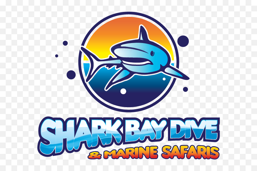 Shark Bay Dive And Marine Safaris - Experience Explore Ocean Park Aquarium Shark Bay Png,Shark Transparent
