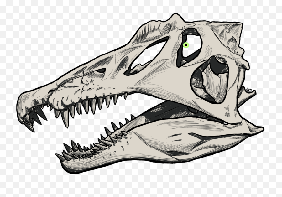 Download Inktober Catch - Dinosaur Realistic Skull Png,Spinosaurus Png