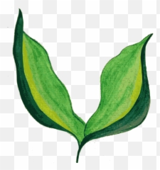 Painted Leaves Background - Leaf Transparent png