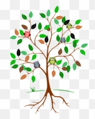 Tree Roots - Owls In A Clipart Png Download Original With