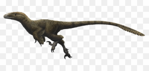 Download Free Png Image - Speedy Death Trappng Dinosaur Utah Raptor,Trap Png