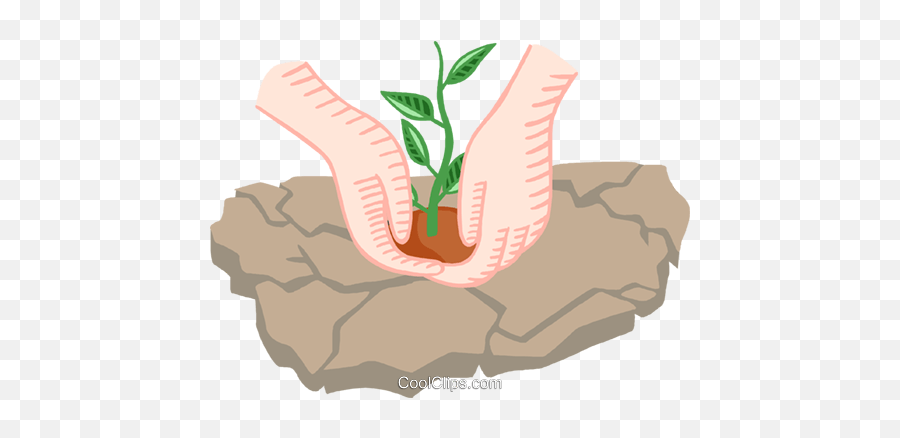Hands Planting A Seedling Royalty Free Vector Clip Art - Drawing Png,Seedling Png