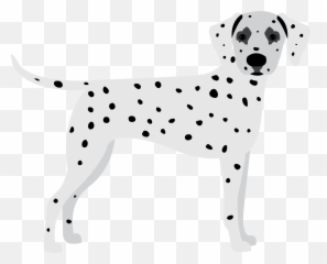 Dalmatian Png Image With No Background - Dot,Dalmatian Png