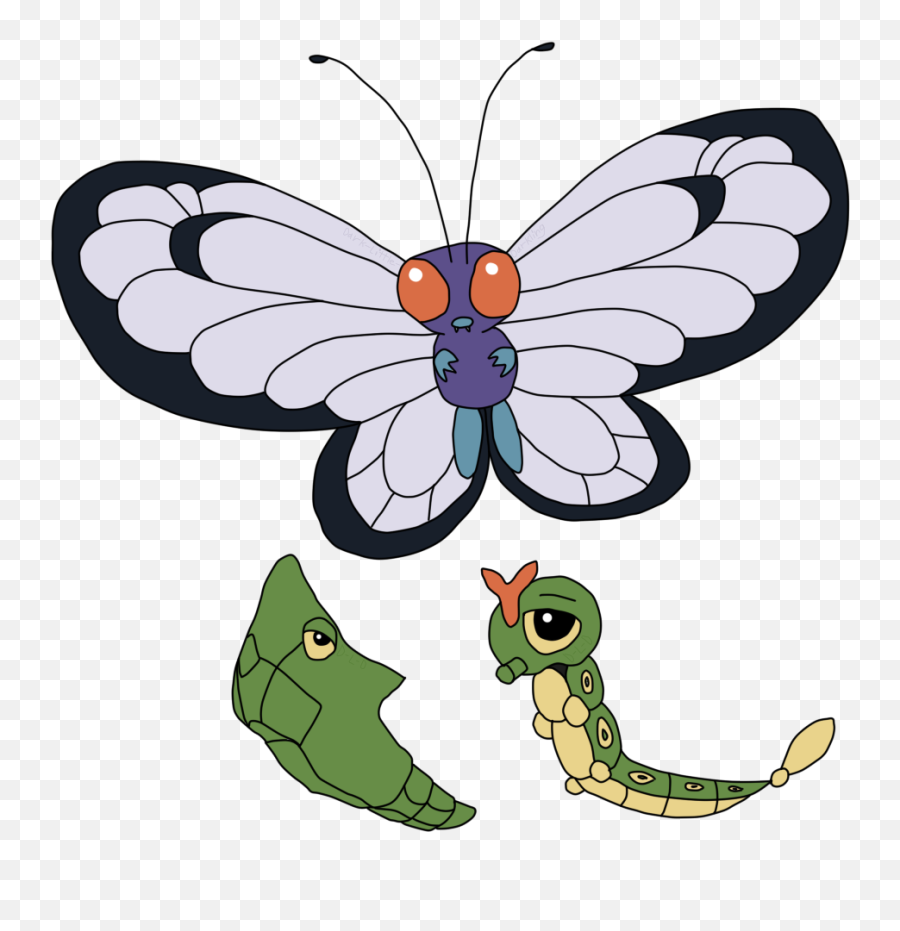 Caterpie Evolution - Decorative Png,Caterpie Png
