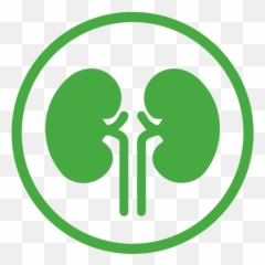 On Site Hemo Dialysis - MediLodge of Rochester Hills Symbol png