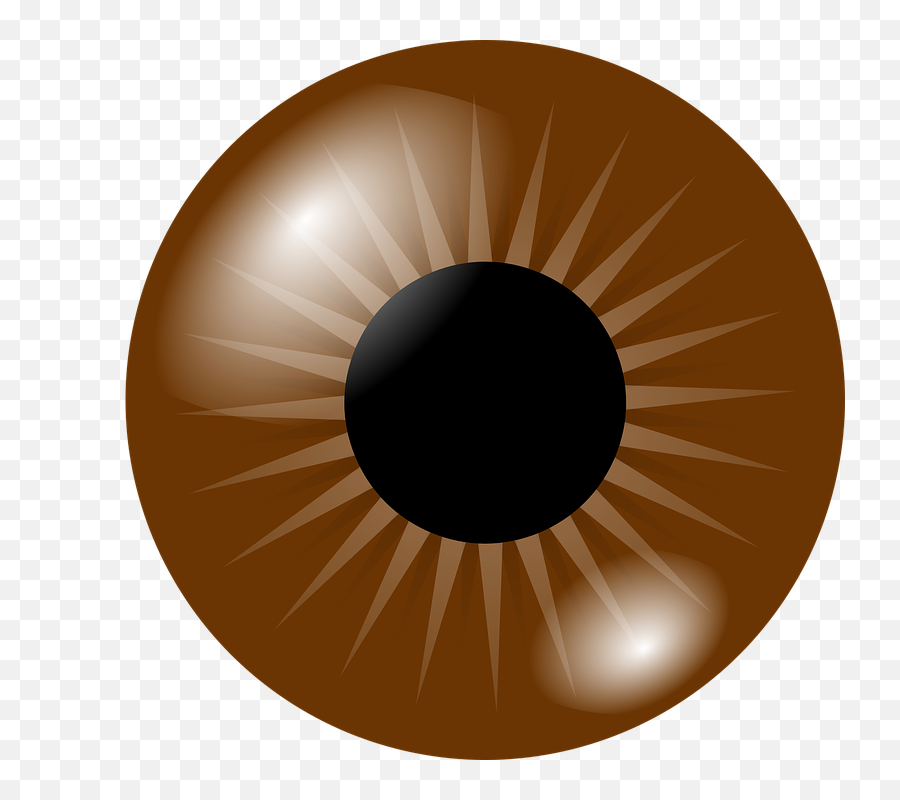 Brown Eye Clip Art - Vector Clip Art Online Transparent Brown Eyes Png,Cartoon Eye Png