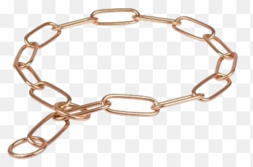 Gold Dog Chain Transparent Png All - Bracelet
