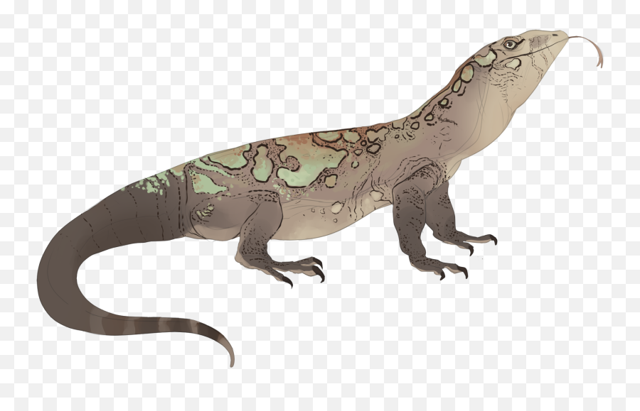 Download Komodo Dragon - Portable Network Graphics Png,Komodo Dragon Png