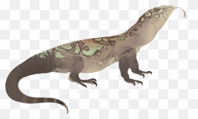 Download Komodo Dragon - Portable Network Graphics Png,Komodo Dragon Png