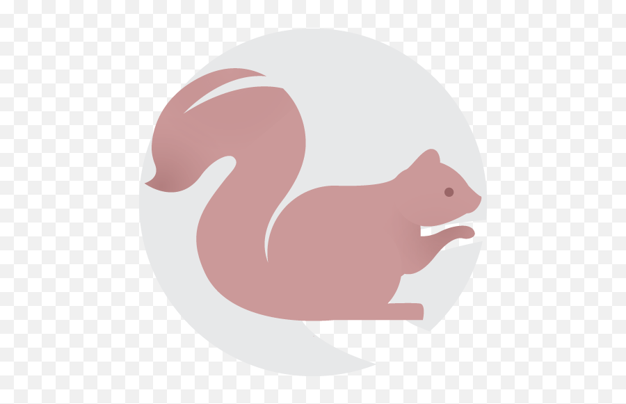 Seo - Razor Edge Media Ltd Eastern Gray Squirrel Png,Squirrel Icon