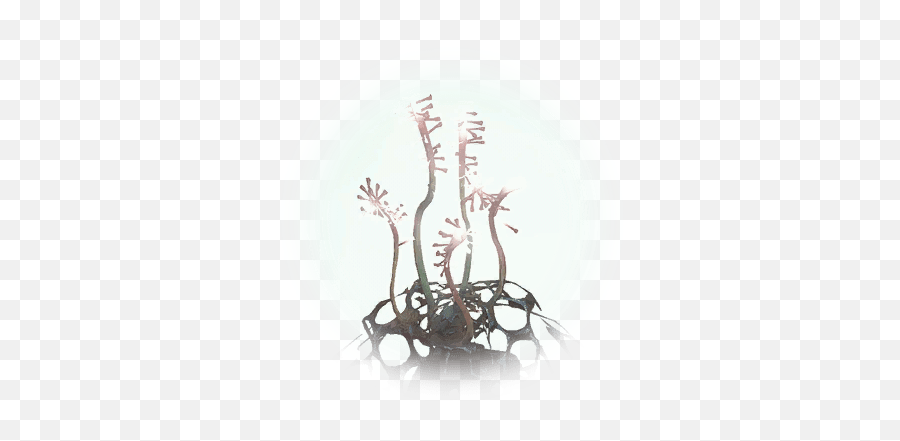 Toxic Thorn Tentacle - Bdo Codex Twig Png,Toxin Icon