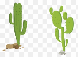 Euclidean Vector Spear Icon - Nopal Vector 1000x1000 Png Cactus Digital,Spear Icon